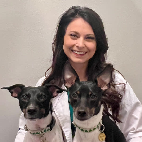 Dr. Courtney Beary, Baton Rouge Veterinarian